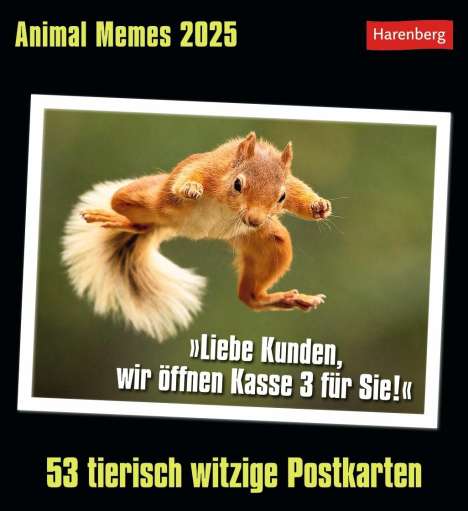 Elena Merschhemke: Animal Memes Postkartenkalender 2025 - 53 tierisch witzige Postkarten, Kalender