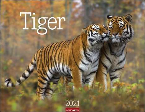 Tiger - Kalender 2020, Diverse