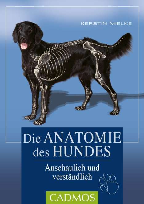Kerstin Mielke: Mielke, K: Anatomie des Hundes, Buch