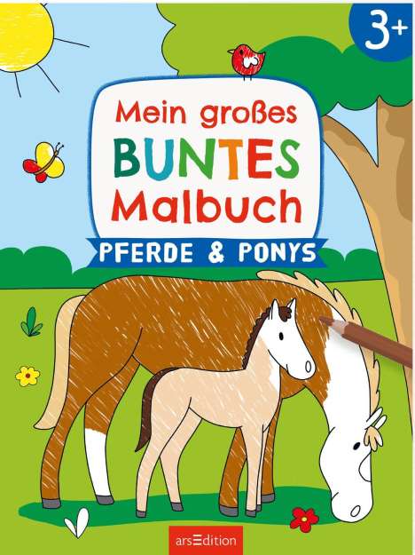 Mein großes buntes Malbuch - Pferde und Ponys, Buch