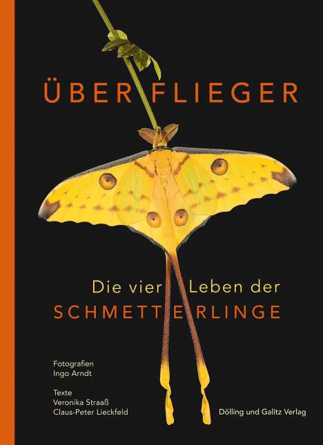 Veronika Straaß: Überflieger. Die vier Leben der Schmetterlinge, Buch