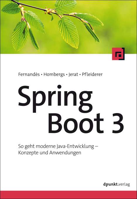 François Fernandès: Spring Boot 3, Buch
