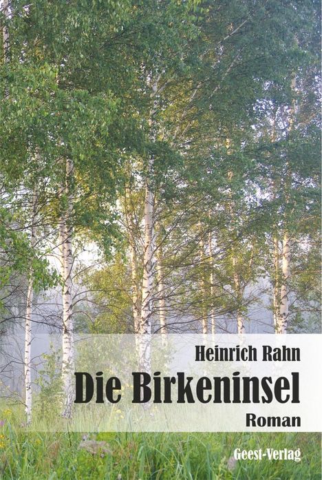 Heinrich Rahn: Rahn, H: Birkeninsel, Buch