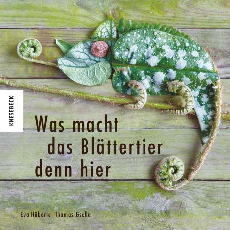 Eva Häberle: Häberle, E: Was macht das Blättertier denn hier, Buch