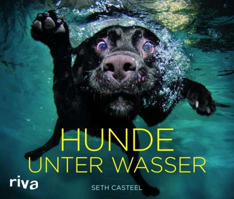 Seth Casteel: Hunde unter Wasser, Buch