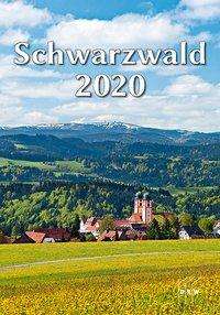 Schwarzwald 2020, Diverse