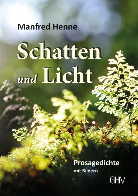 Manfred Henne: Henne, M: Schatten und Licht, Buch