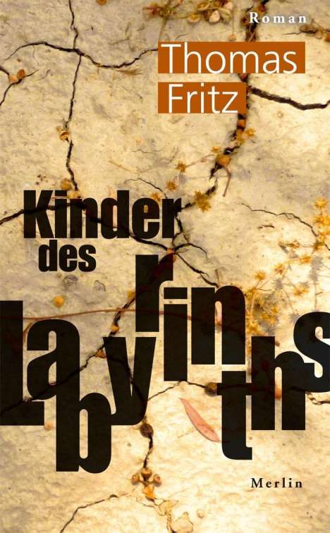 Thomas Fritz (geb. 1955): Kinder des Labyrinths, Buch