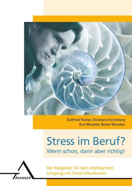 Gottfried Fischer: Stress im Beruf? Wenn schon, dann aber richtig!, Buch