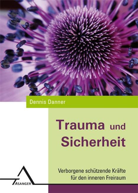 Dennis Danner: Trauma und Sicherheit, Buch