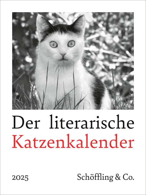 Julia Bachstein: Der literarische Katzenkalender 2025, Kalender