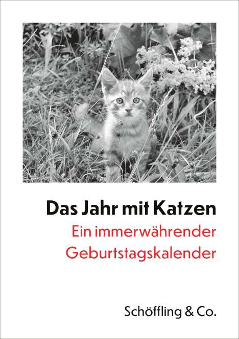 Julia Bachstein: Das Jahr mit Katzen, Kalender