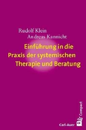 Rudolf Klein: Einführung in die Praxis der systemischen Therapie und Beratung, Buch