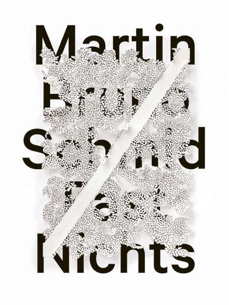 Martin Bruno Schmid, Buch