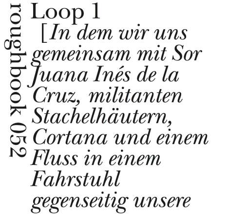 Carla Cerda: Loops, Buch