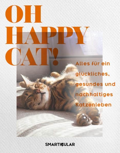 Oh Happy Cat, Buch