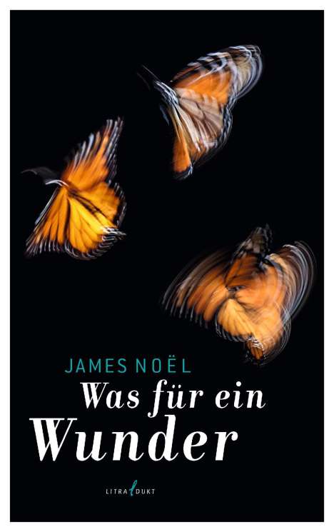 James Noël: Was für ein Wunder, Buch