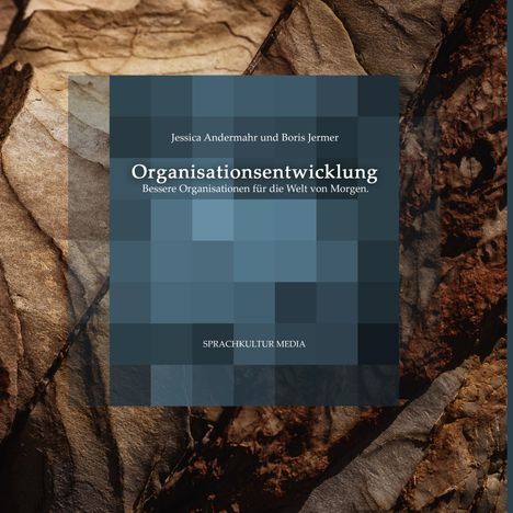 Jessica Andermahr: Organisationsentwicklung, Buch