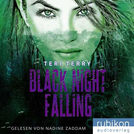 Teri Terry: Black Night Falling, CD