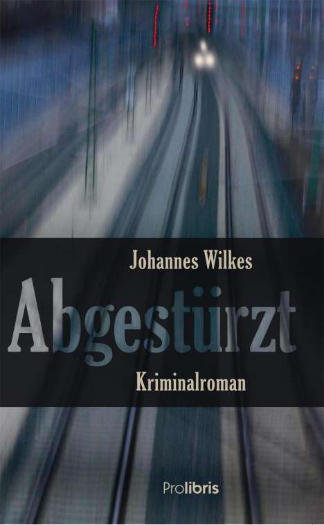Johannes Wilkes: Abgestürzt, Buch