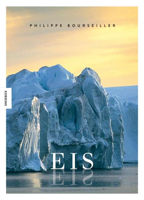 Brice Perrier: EIS, Buch
