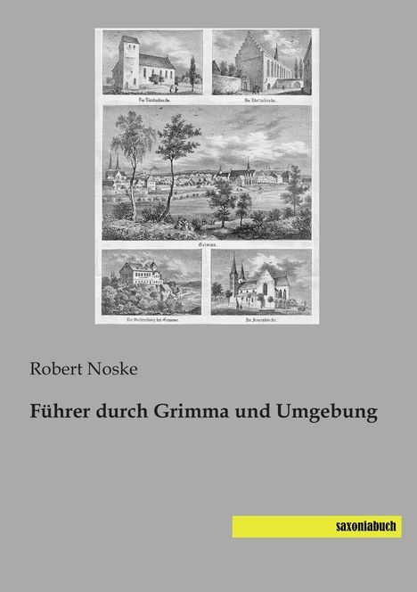 Robert Noske: Führer durch Grimma und Umgebung, Buch