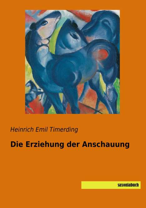 Heinrich Emil Timerding: Die Erziehung der Anschauung, Buch