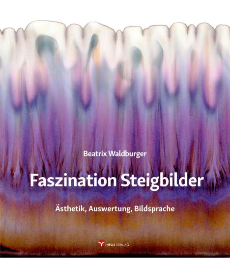 Beatrix Waldburger: Faszination Steigbilder, Buch