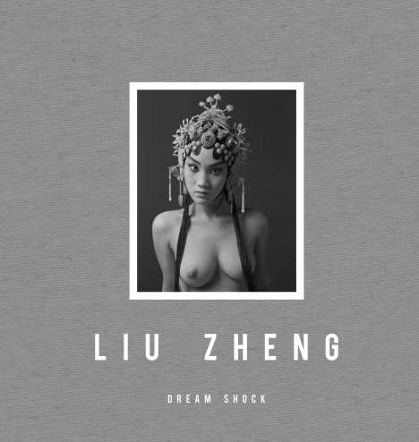 Liu Zheng: Dream Shock, Buch