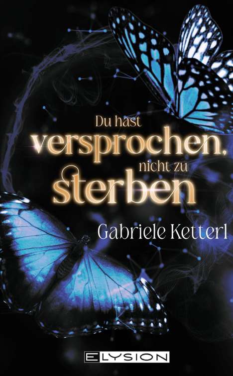 Gabriele Ketterl: Du hast versprochen nicht zu sterben, Buch