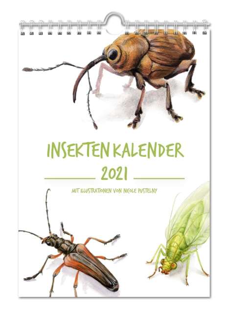Insektenkalender 2021, Kalender