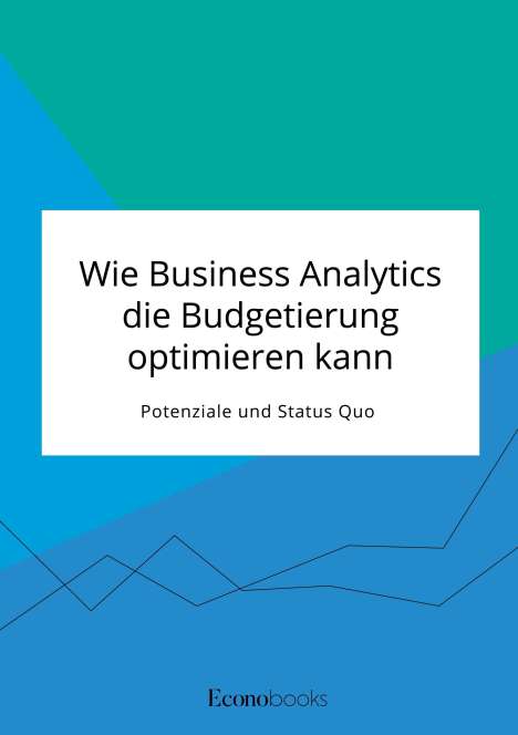Frieda von Meding: Wie Business Analytics die Budgetierung optimieren kann. Potenziale und Status Quo, Buch