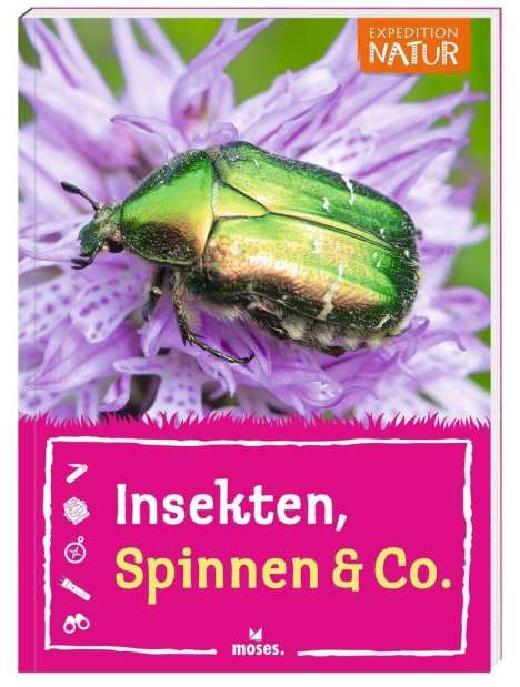 Anke Küpper: Küpper, A: Insekten, Spinnen &amp; Co., Buch