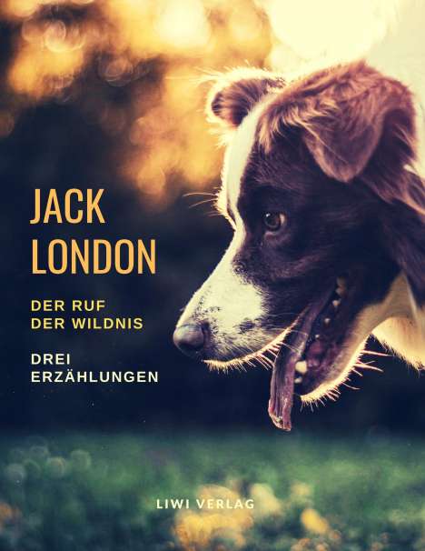 Jack London: Der Ruf der Wildnis ¿ Drei Romane, Buch
