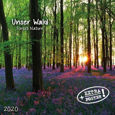 Unser Wald - Forest Nature 2020 Artwork, Diverse