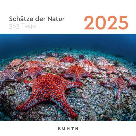 Schätze der Natur - KUNTH 365-Tage-Abreißkalender 2025, Kalender