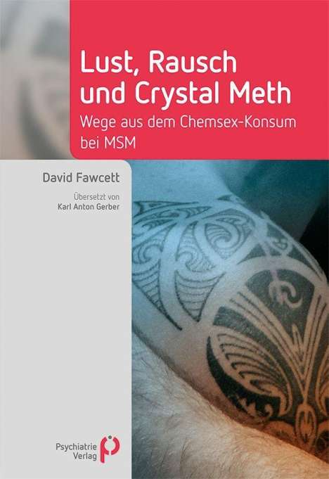 David Fawcett: Lust, Rausch und Crystal Meth, Buch