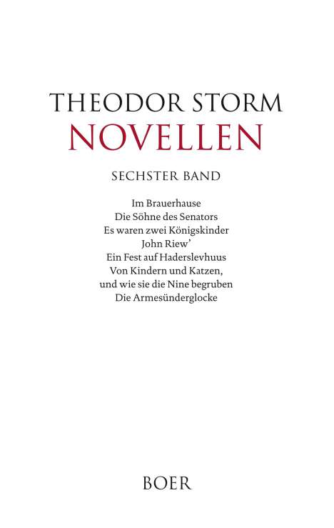 Theodor Storm: Novellen sechster Band, Buch