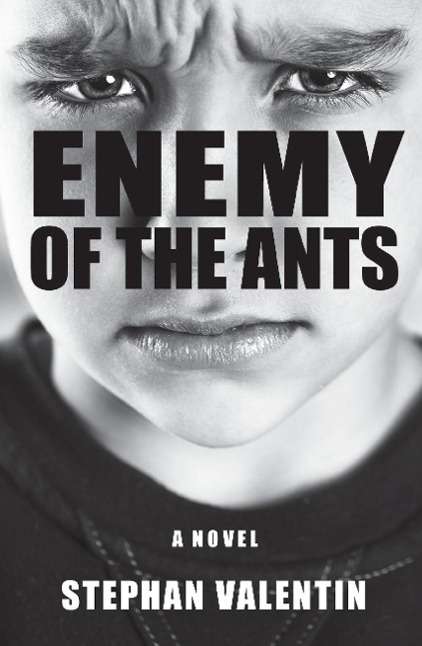 Stephan Valentin: Enemy of the ants, Buch