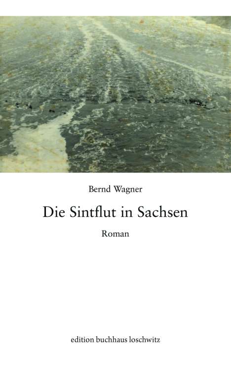Bernd Wagner (geb. 1949): Die Sintflut in Sachsen, Buch