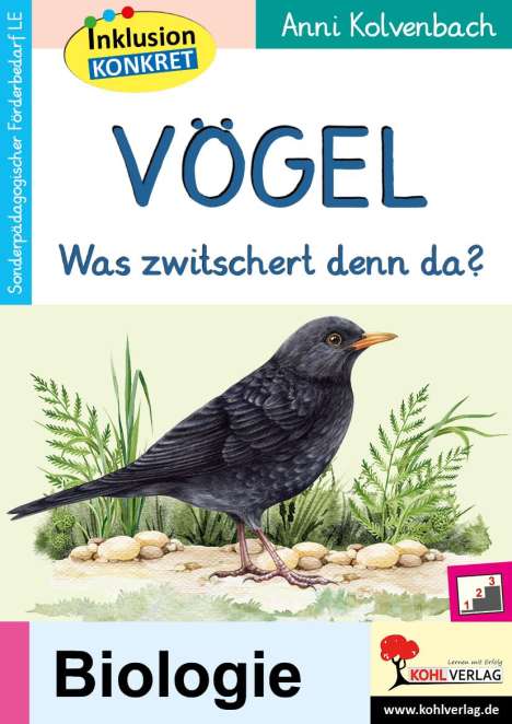 Anni Kolvenbach: Vögel, Buch