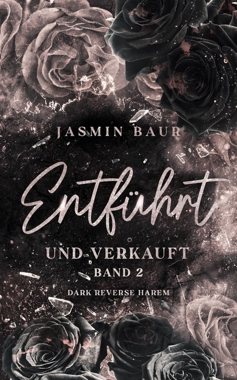 Jasmin Baur: Entführt und verkauft, Buch