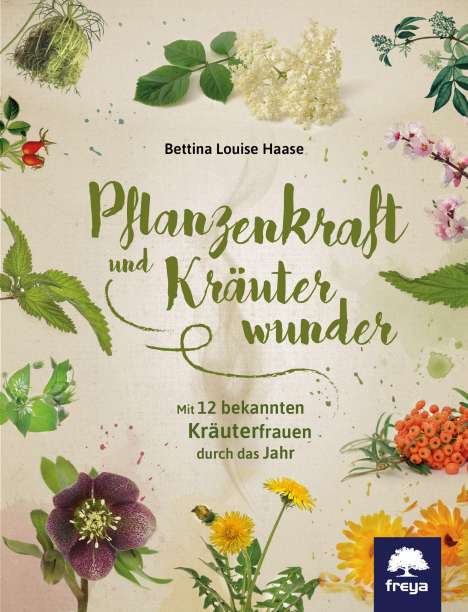 Bettina Louise Haase: Haase, B: Pflanzenkraft und Kräuterwunder, Buch