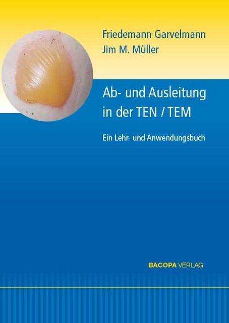 Friedemann Garvelmann: Ab- und Ausleitungsverfahren in der TEN/TEM., Buch