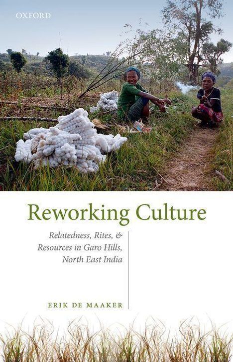 Erik de Maaker: Reworking Culture, Buch