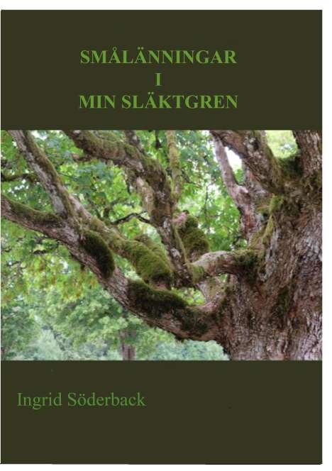 Ingrid Söderback: Smålänningar i min släktgren, Buch