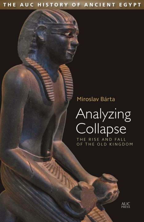 Miroslav Barta: Analyzing Collapse, Buch
