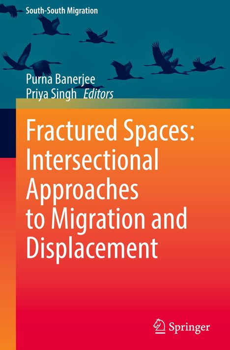 "Fractured Spaces: Intersectional Approaches to Migration and Displacement" oben Vögel im Flug, unten Farbverlauf.