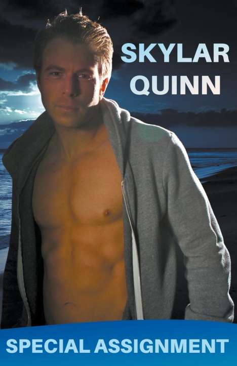 Skylar Quinn: Special Assignment, Buch