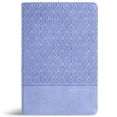 Text: "Holy Bible". 
Weißer, geprägter Einband mit Muster in bläulicher Farbe.